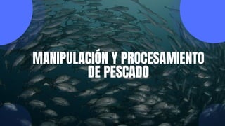 MANIPULACIÓN Y PROCESAMIENTO
DE PESCADO
 