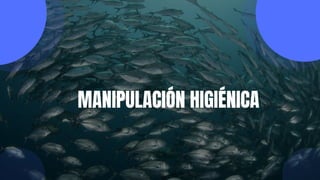 MANIPULACIÓN HIGIÉNICA
 