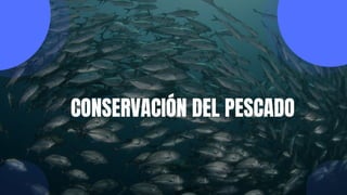 CONSERVACIÓN DEL PESCADO
 