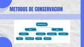 METODOS DE CONSERVACION
 