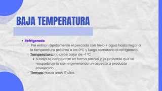 BAJA TEMPERATURA
Refrigerado
Pre enfriar rápidamente el pescado con hielo + agua hasta llegar a
la temperatura próximo a los 0°C y luego someterlo al refrigerado.
Temperatura: no debe bajar de -1 °C
Si baja se congelaran en forma parcial y es probable que se
resquebraje la carne generando un aspecto a producto
envejecido.
Tiempo: Hasta unos 17 días.
 