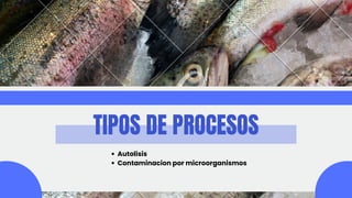TIPOS DE PROCESOS
Autolisis
Contaminacion por microorganismos
 