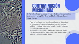 CONTAMINACIÓN
MICROBIANA.
Determinada por el grado de exposición de la carne a los
gérmenes y la rapidez de la multiplicación de dichos
organismos.
Para evitar la contaminación de la carne durante el
procesado es importante determinar los puntos
críticos y realizar control exhaustivo en los mismos
para evitar la exposición
las condiciones propicias para el desarrollo de los
microorganismos es el contenido de agua de la carne
y la temperatura de la misma.
 