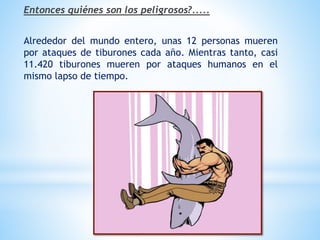 Entonces quiénes son los peligrosos?.....
Alrededor del mundo entero, unas 12 personas mueren
por ataques de tiburones cada año. Mientras tanto, casi
11.420 tiburones mueren por ataques humanos en el
mismo lapso de tiempo.
 