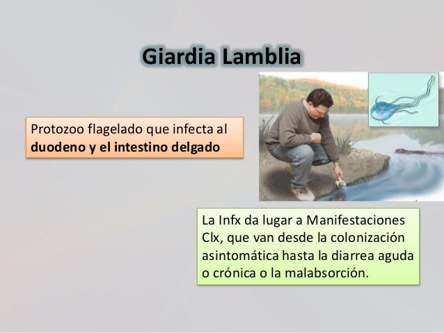 Los helmintos el tratamiento la análisis de sangre