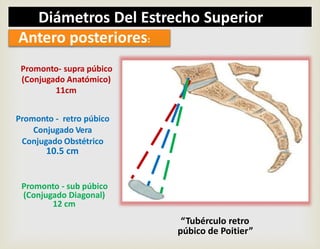 Promonto- supra púbico
(Conjugado Anatómico)
11cm
Promonto - retro púbico
Conjugado Vera
Conjugado Obstétrico
10.5 cm
Promonto - sub púbico
(Conjugado Diagonal)
12 cm
“Tubérculo retro
púbico de Poitier”
Antero posteriores:
Diámetros Del Estrecho Superior
 