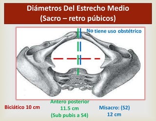Antero posterior
11.5 cm
(Sub pubis a S4)
Misacro: (S2)
12 cm
No tiene uso obstétrico
Biciático 10 cm
Diámetros Del Estrecho Medio
(Sacro – retro púbicos)
 