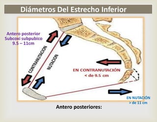 Antero posterior
Subcoxi subpubico
9.5 – 11cm
EN NUTACIÓN
> de 11 cm
Antero posteriores:
Diámetros Del Estrecho Inferior
 