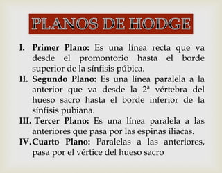 I. Primer Plano: Es una línea recta que va
desde el promontorio hasta el borde
superior de la sínfisis púbica.
II. Segundo Plano: Es una línea paralela a la
anterior que va desde la 2ª vértebra del
hueso sacro hasta el borde inferior de la
sínfisis pubiana.
III. Tercer Plano: Es una línea paralela a las
anteriores que pasa por las espinas iliacas.
IV.Cuarto Plano: Paralelas a las anteriores,
pasa por el vértice del hueso sacro
 