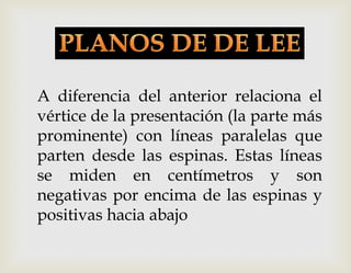 A diferencia del anterior relaciona el
vértice de la presentación (la parte más
prominente) con líneas paralelas que
parten desde las espinas. Estas líneas
se miden en centímetros y son
negativas por encima de las espinas y
positivas hacia abajo
 