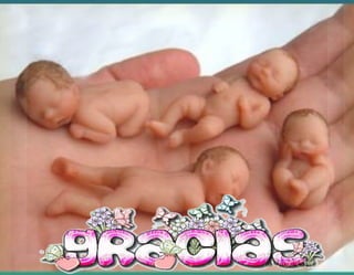 pelvis_pelvimetria_planos