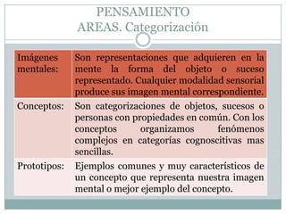 PENSAMIENTO AREAS. Categorización
