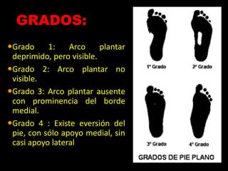 GRADOS:
Grado 1: Arco plantar
deprimido, pero visible.
Grado 2: Arco plantar no
visible.
Grado 3: Arco plantar ausente
con prominencia del borde
medial.
Grado 4 : Existe eversión del
pie, con sólo apoyo medial, sin
casi apoyo lateral
 