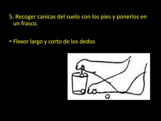 5. Recoger canicas del suelo con los pies y ponerlos en
un frasco.
• Flexor largo y corto de los dedos
Repetir el ejercicio hasta
acabar con las 10 canicas y
luego realizarlo con el otro
pie
 
