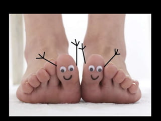 pie plano final final