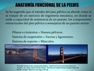 ANATOMÍA FUNCIONAL DE LA PELVIS
 Se ha sugerido que el estudio del piso pélvico se aborde como si
se tratase de un ejercicio de ingeniería mecánica, en donde se
mide a capacidad de resistencia de un puente, los componentes
estructurales del piso pélvico a semejanza de un puente serian:
Pilares o cimientos = Huesos pélvicos.
Sistema de suspensión = Fascias y ligamentos.
Sistema de soporte = Músculos.
Sociedad mexicana de urología ginecológica - Anatomía funcional del piso pélvico en
mujeres - Dr. Sergio Alberto Flores Rosas - Servicio de Uroginecologia Hospital Regional
NO 46 - Instituto Mexicano del Seguro Social
 