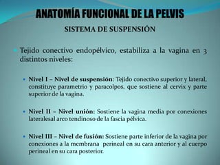 SISTEMA DE SUSPENSIÓN
 Tejido conectivo endopélvico, estabiliza a la vagina en 3
distintos niveles:
 Nivel I – Nivel de suspensión: Tejido conectivo superior y lateral,
constituye parametrio y paracolpos, que sostiene al cervix y parte
superior de la vagina.
 Nivel II – Nivel unión: Sostiene la vagina media por conexiones
lateralesal arco tendinoso de la fascia pélvica.
 Nivel III – Nivel de fusión: Sostiene parte inferior de la vagina por
conexiones a la membrana perineal en su cara anterior y al cuerpo
perineal en su cara posterior.
ANATOMÍA FUNCIONAL DE LA PELVIS
 