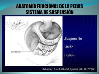 ANATOMÍA FUNCIONAL DE LA PELVIS
SISTEMA DE SUSPENSIÓN
 