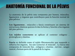 La anatomía de la pelvis esta compuesta por huesos, músculos,
ligamentos ,y órganos que contribuyen para la función normal de
piso pélvico.
 Los ligamentos , músculos y fascia constituyen un sistema de
estructuras elásticas quienes le dan la forma y función a los órganos
del piso pélvico.
 Los tejidos conectores se aplican al contener colágeno ,
proteoglycan y elastina.
 Fascia es definida como el tejido fibromuscular que suspende o
refuerza los órganos, los une (conecta) al músculo . La fascia esta
compuesta de músculo liso , colágeno y elastina , nervios , sangre
vesical y forman parte de la pared de la vagina.
ANATOMÍA FUNCIONAL DE LA PÉLVIS
 