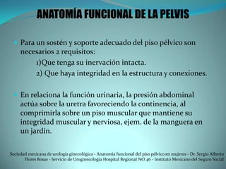 ANATOMÍA FUNCIONAL DE LA PELVIS
 Para un sostén y soporte adecuado del piso pélvico son
necesarios 2 requisitos:
1)Que tenga su inervación intacta.
2) Que haya integridad en la estructura y conexiones.
 En relaciona la función urinaria, la presión abdominal
actúa sobre la uretra favoreciendo la continencia, al
comprimirla sobre un piso muscular que mantiene su
integridad muscular y nerviosa, ejem. de la manguera en
un jardín.
Sociedad mexicana de urología ginecológica - Anatomía funcional del piso pélvico en mujeres - Dr. Sergio Alberto
Flores Rosas - Servicio de Uroginecologia Hospital Regional NO 46 - Instituto Mexicano del Seguro Social
 