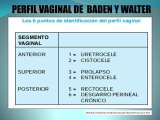 PERFIL VAGINAL DE BADEN Y WALTER
 