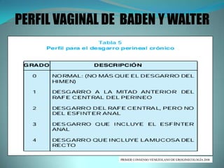 PERFIL VAGINAL DE BADEN Y WALTER
 