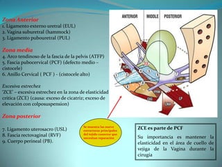 Zona Anterior
1. Ligamento externo uretral (EUL)
2. Vagina suburetral (hammock)
3. Ligamento pubouretral (PUL)
Zona media
4. Arco tendinoso de la fascia de la pelvis (ATFP)
5. Fascia pubocervical (PCF) (defecto medio –
cistocele)
6. Anillo Cervical ( PCF ) - (cistocele alto)
Excesiva estrechez
‘ZCE’ – excesiva estrechez en la zona de elasticidad
critica (ZCE) (causa: exceso de cicatriz; exceso de
elevación con colposuspension)
Zona posterior
7. Ligamento uterosacro (USL)
8. Fascia rectovaginal (RVF)
9. Cuerpo perineal (PB).
Se muestra las nueve
estructuras principales
del tejido conector que
necesitan reparación
ZCE es parte de PCF
Su importancia es mantener la
elasticidad en el área de cuello de
vejiga de la Vagina durante la
cirugía
 