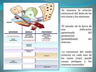 Se muestra la relación
estructural del daño de las
tres zonas y los síntomas.
El tamaño de la barra da
una indicación
aproximada del
predominio
(probabilidad) del
síntoma.
La estructura del tejido
conector en cada uno de
las zonas (rojo) puede
causar prolapso y los
síntomas anormales
 
