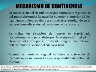 MECANISMO DE CONTINENCIA
 La contracción del eje pubococcigeo contra la cara posterior
del pubis determina la tracción superior y anterior de los
ligamentos pubouretrales y uretropélvicos, resultando en el
cierre e inmovilización del tercio medio de la uretra.
 La vejiga en situación de reposo es traccionada
posteriormente y para abajo por la contracción del plató
elevador del ano y por el , músculo longitudinal del ano,
determinando el cierre del cuello vesical.
 Además estiramiento vaginal inhibiría la activación de
terminaciones nerviosas locales, responsables del reflejo de
micción.
Paulo Palma. UROFISIOTERAPIA: Aplicaciones clínicas de técnicas fisioterapeúticas en disfunciones miccionales y
de piso pelvico. Confederación americana de urología 2010 cap 2 pag 20
 
