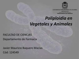Poliploidía en
                    Vegetales y Animales

FACULTAD DE CIENCIAS
Departamento de Farmacia

Javier Mauricio Baquero Macías
Cód: 124549
 