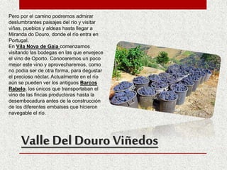 Valle Del Douro Viñedos
Pero por el camino podremos admirar
deslumbrantes paisajes del río y visitar
viñas, pueblos y aldeas hasta llegar a
Miranda do Douro, donde el río entra en
Portugal.
En Vila Nova de Gaia comenzamos
visitando las bodegas en las que envejece
el vino de Oporto. Conoceremos un poco
mejor este vino y aprovecharemos, como
no podía ser de otra forma, para degustar
el precioso néctar. Actualmente en el río
aún se pueden ver los antiguos Barcos
Rabelo, los únicos que transportaban el
vino de las fincas productoras hasta la
desembocadura antes de la construcción
de los diferentes embalses que hicieron
navegable el río.
 