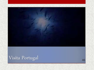 Visita Portugal 46
 