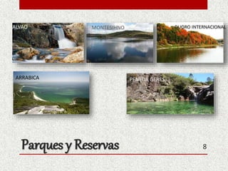 Parques y Reservas 8
ALVAO DUORO INTERNACIONAL
ARRABICA
MONTESIHNO
PENEDA GERES
 