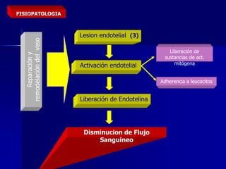 FISIOPATOLOGIA
Lesion endotelial (3)
Activación endotelial
Liberación de
sustancias de act.
mitógena
Adherencia a leucocitos
Liberación de Endotelina
Disminucion de Flujo
Sanguineo
Reparacióny
remodelacióndelvaso
 