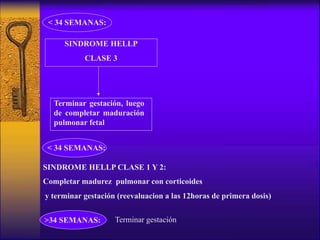< 34 SEMANAS:
< 34 SEMANAS:
SINDROME HELLP CLASE 1 Y 2:
Completar madurez pulmonar con corticoides
y terminar gestación (reevaluacion a las 12horas de primera dosis)
Terminar gestación>34 SEMANAS:
Terminar gestación, luego
de completar maduración
pulmonar fetal
SINDROME HELLP
CLASE 3
 