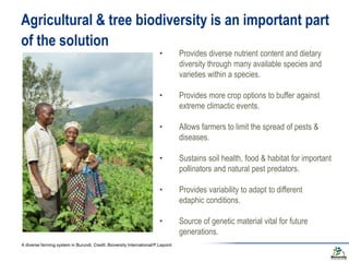 Biodiversity and the next generation Green Revolution | PPTX