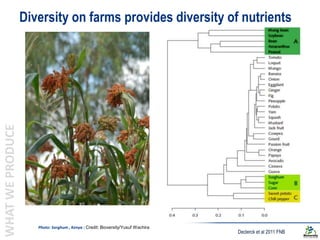 Biodiversity and the next generation Green Revolution | PPTX