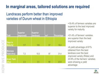 Biodiversity and the next generation Green Revolution