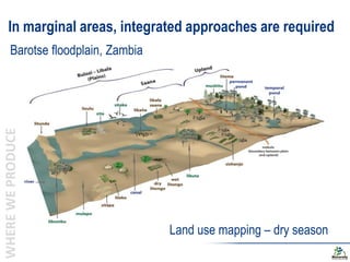 Biodiversity and the next generation Green Revolution