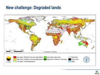 Biodiversity and the next generation Green Revolution