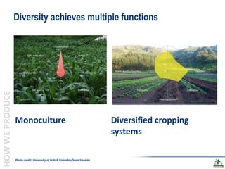 Biodiversity and the next generation Green Revolution