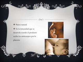  Pasiva natural
 Es la inmunidad que se
desarrola cuando el producto
recibe los anticuerpos por la
placenta
 
