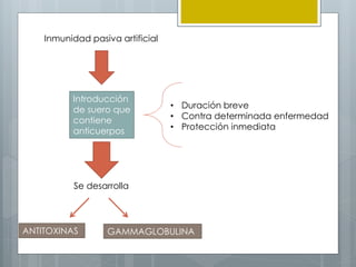 Inmunidad pasiva artificial
Introducción
de suero que
contiene
anticuerpos
• Duración breve
• Contra determinada enfermedad
• Protección inmediata
Se desarrolla
ANTITOXINAS GAMMAGLOBULINA
 