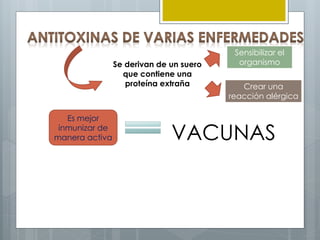 Se derivan de un suero
que contiene una
proteína extraña
Sensibilizar el
organismo
Crear una
reacción alérgica
Es mejor
inmunizar de
manera activa VACUNAS
 