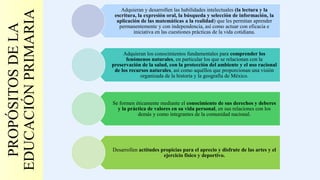 PROPÓSITOSDELA
EDUCACIÓNPRIMARIA
Adquieran y desarrollen las habilidades intelectuales (la lectura y la
escritura, la expresión oral, la búsqueda y selección de información, la
aplicación de las matemáticas a la realidad) que les permitan aprender
permanentemente y con independencia, así como actuar con eficacia e
iniciativa en las cuestiones prácticas de la vida cotidiana.
Adquieran los conocimientos fundamentales para comprender los
fenómenos naturales, en particular los que se relacionan con la
preservación de la salud, con la protección del ambiente y el uso racional
de los recursos naturales, así como aquéllos que proporcionan una visión
organizada de la historia y la geografía de México.
Se formen éticamente mediante el conocimiento de sus derechos y deberes
y la práctica de valores en su vida personal, en sus relaciones con los
demás y como integrantes de la comunidad nacional.
Desarrollen actitudes propicias para el aprecio y disfrute de las artes y el
ejercicio físico y deportivo.
 