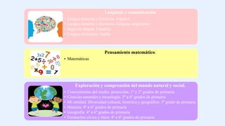 Lenguaje y comunicación
• Lengua materna y literatura. Español
• Lengua materna y literatura. Lenguas originarias
• Segunda lengua. Español.
• Lengua extranjera. Inglés
Pensamiento matemático.
• Matemáticas
Exploración y comprensión del mundo natural y social.
• Conocimiento del medio: preescolar, 1º y 2º grados de primaria
• Ciencias naturales y tecnología: 3º a 6º grados de primaria
• Mi entidad. Diversidad cultural, histórica y geográfica: 3º grado de primaria
• Historia: 4º a 6º grados de primaria
• Geografía: 4º a 6º grados de primaria
• Formación cívica y ética: 4º a 6º grados de primaria
 
