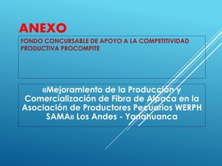 ANEXO
FONDO CONCURSABLE DE APOYO A LA COMPETITIVIDAD
PRODUCTIVA PROCOMPITE
«Mejoramiento de la Producción y
Comercialización de Fibra de Alpaca en la
Asociación de Productores Pecuarios WERPH
SAMA» Los Andes - Yanahuanca
 