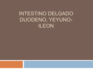 INTESTINO DELGADO
 DUODENO, YEYUNO-
       ILEON
 