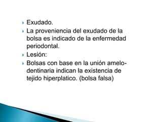  Exudado.
 La proveniencia del exudado de la
bolsa es indicado de la enfermedad
periodontal.
 Lesión:
 Bolsas con base en la unión amelo-
dentinaria indican la existencia de
tejido hiperplatico. (bolsa falsa)
 