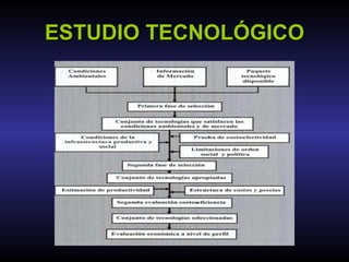 ESTUDIO TECNOLÓGICO 
